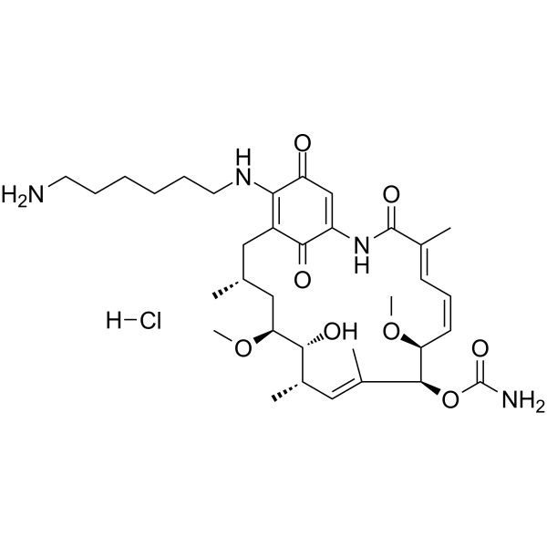 Aminohexylgeldanamycin hydrochloride (AHGDM hydrochloride) 1146534-45-3